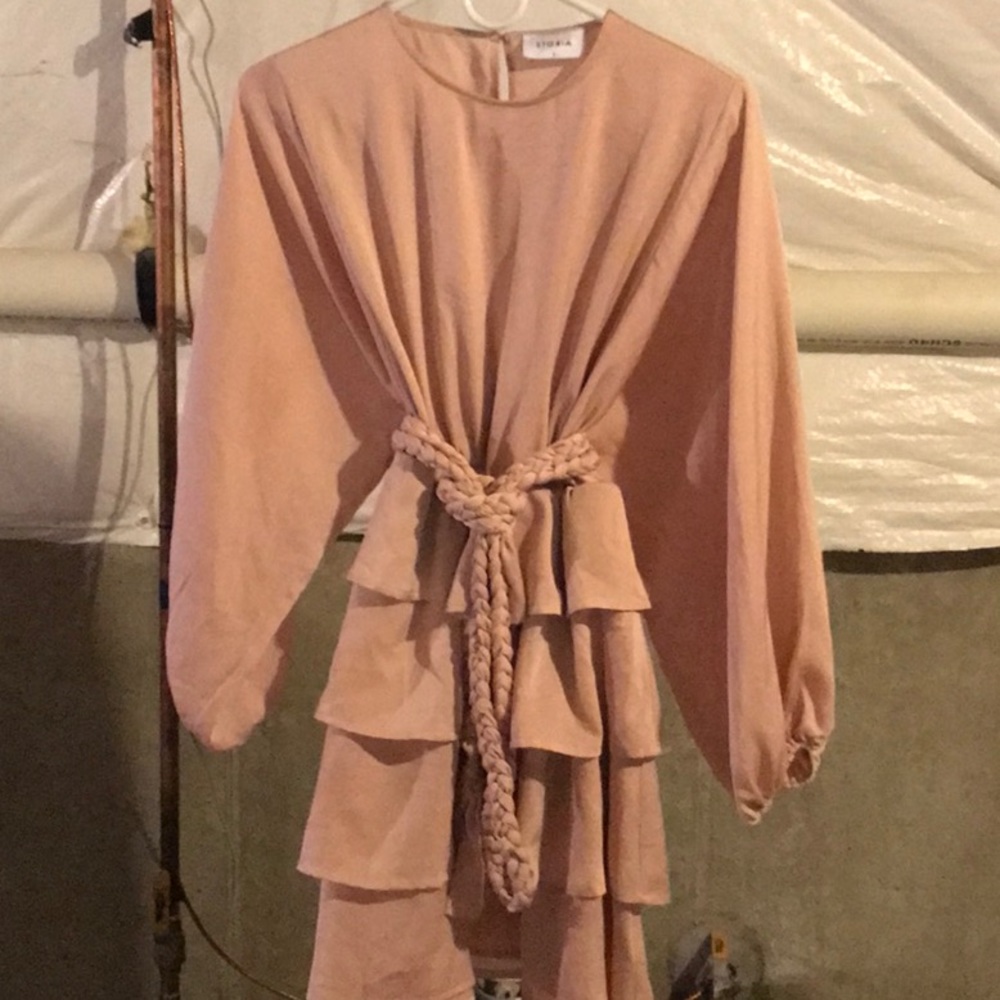 Blush Pink Dress - Picture 2 of 3